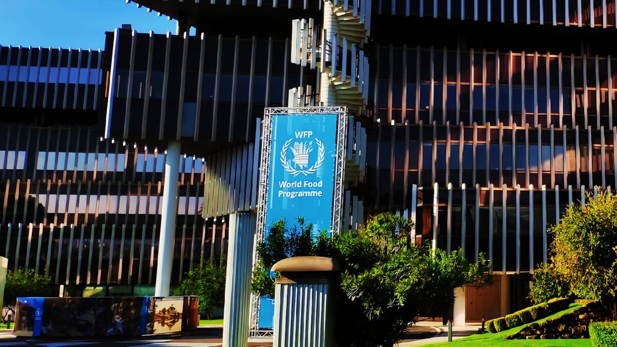 UN Food Agency Discloses Breach Affecting 600,000 Gaza Households