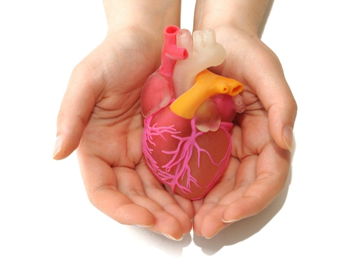 Heart Drug Developer Kardigan Seeks $1.4bn Valuation in US IPO