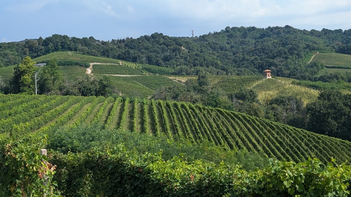 Why Alto Piemonte Should Be Your Next Wine Region Trip According To A Sommelier And A Chef