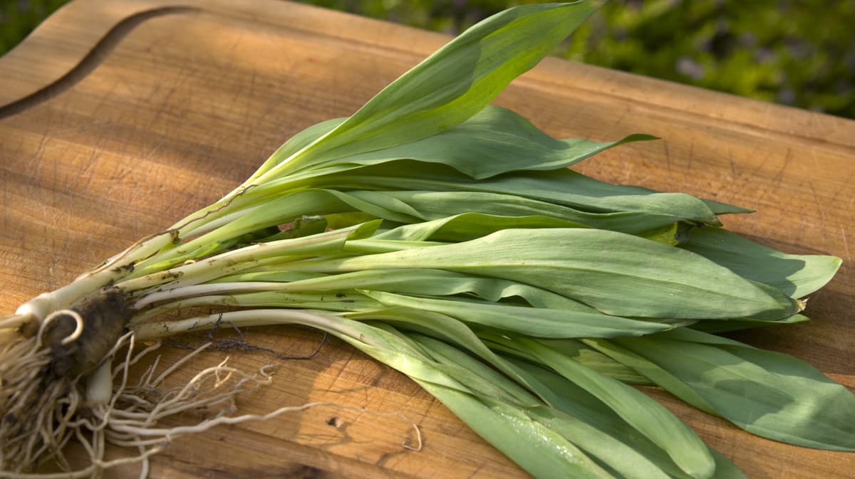10 Delicious Ways To Use Ramps This Spring, According To An Expert