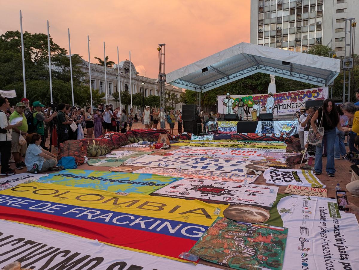 Germany Must Join Global Initiatives to Phase Out Fossil Fuels – Green MP