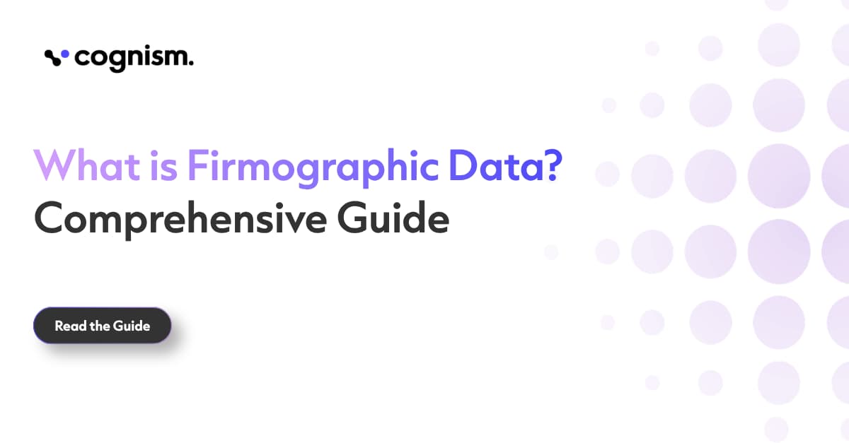 What Is Firmographic Data? Comprehensive Guide for B2B Managers