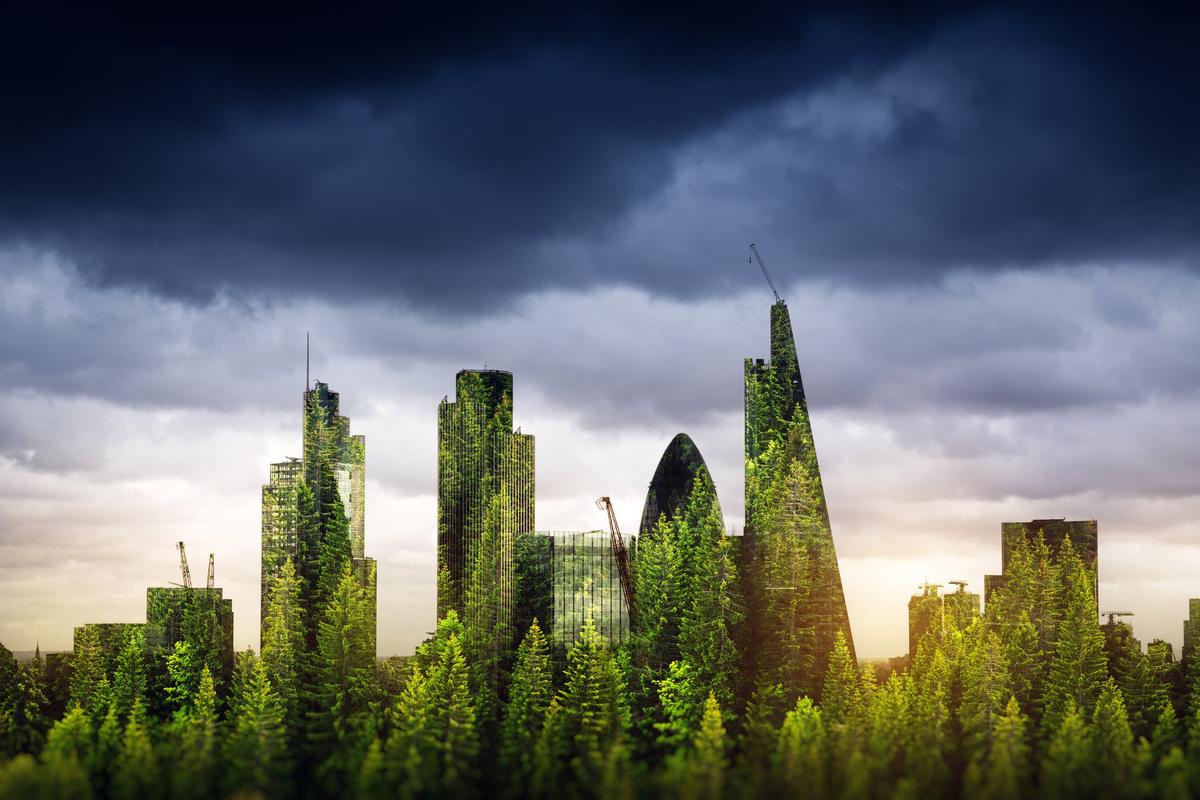 British EUDR? UK Government to Introduce Anti-Deforestation Rules