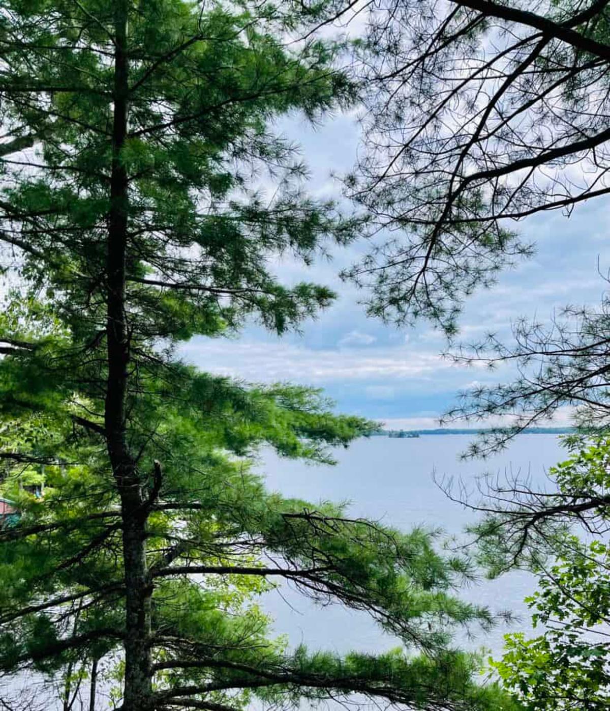 Fintech Firm Pine Labs Strengthens Presence in Sri Lanka via Card Management Partnership with Pan Asia Bank