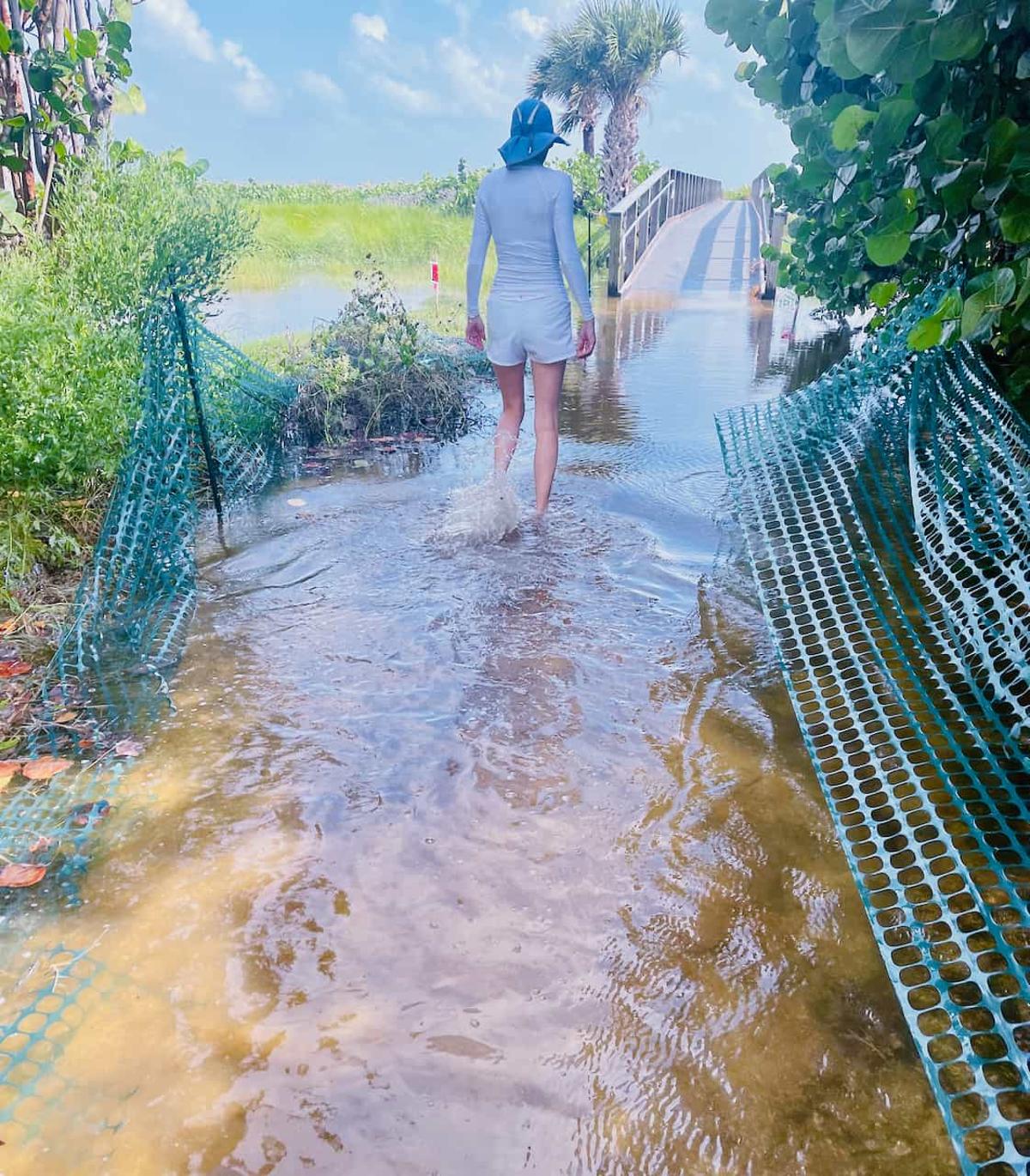 Climate Investors Bet on Efficient AI Infrastructure in Sygaldry’s $139m Raise