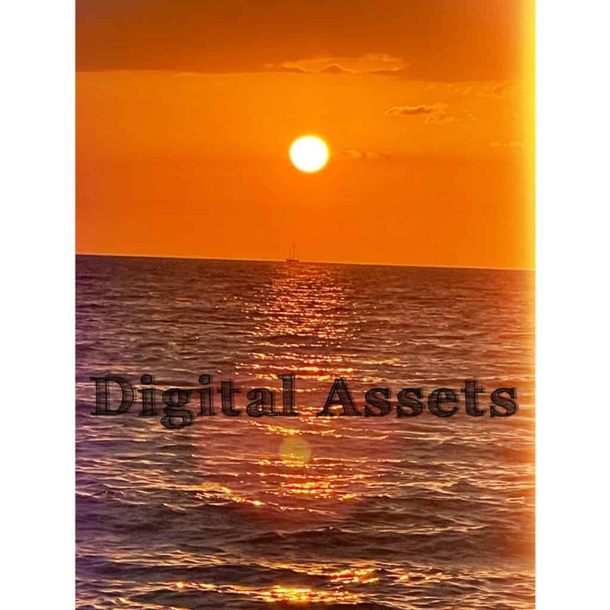 Digital Asset Firm Meld Closes $7M Round