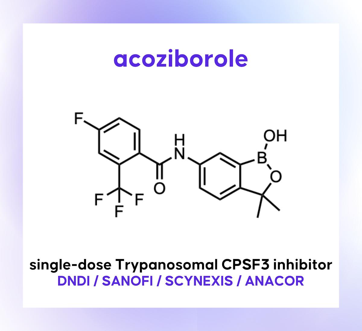 Acoziborole