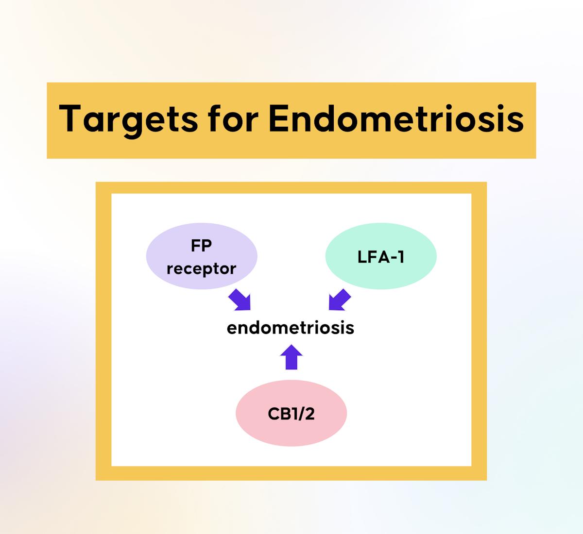 Endometriosis Inspires Re-Examination of Known Targets at the Inaugural HERS Meeting