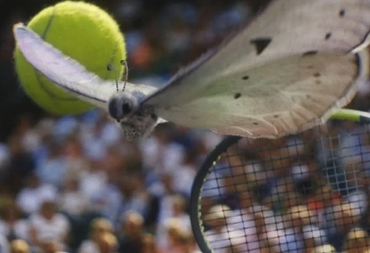 Wimbledon ‘Where Beauty Meets Battle’: Flight of Fancy