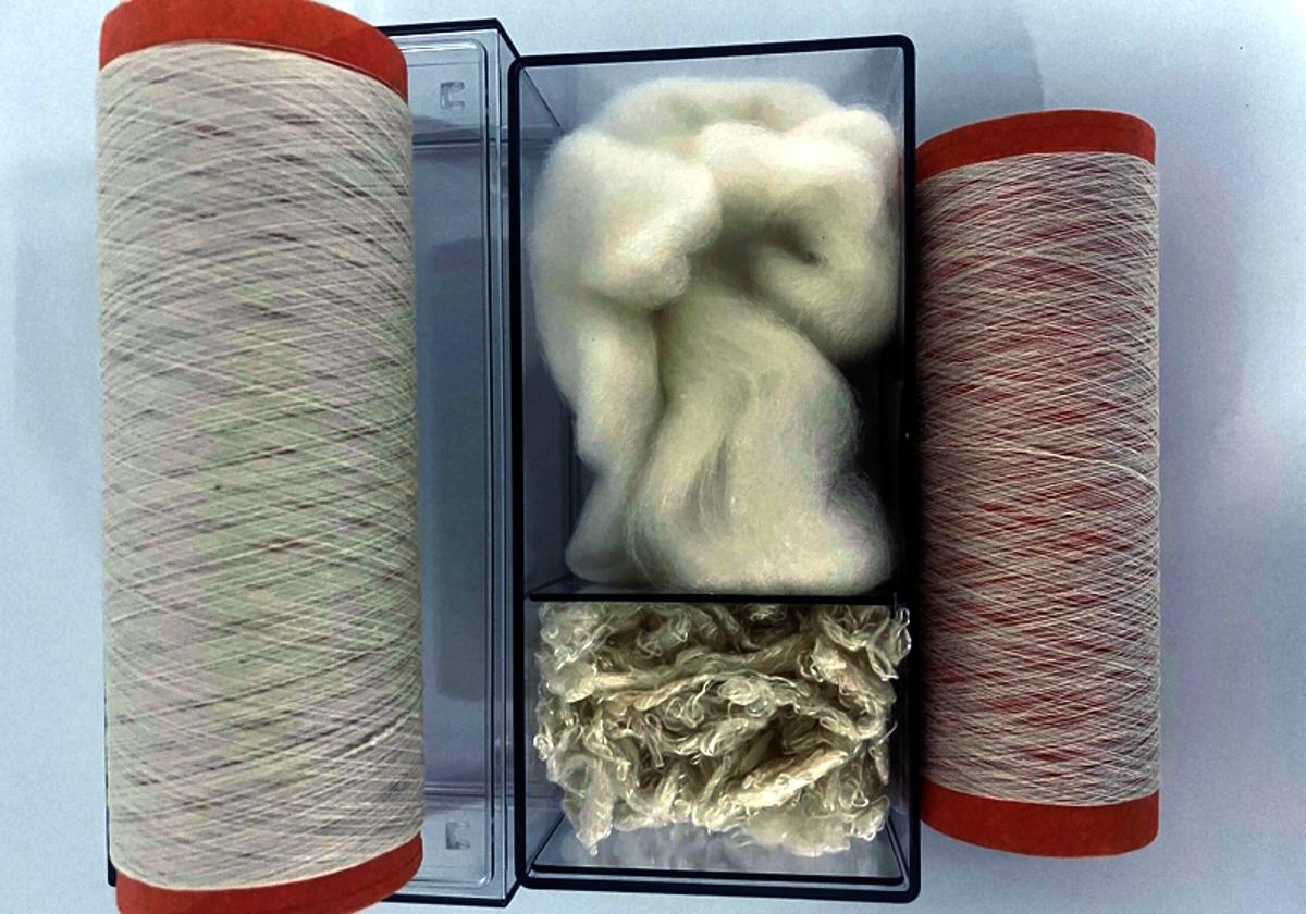 German Institute Claims Cellulose Breakthrough