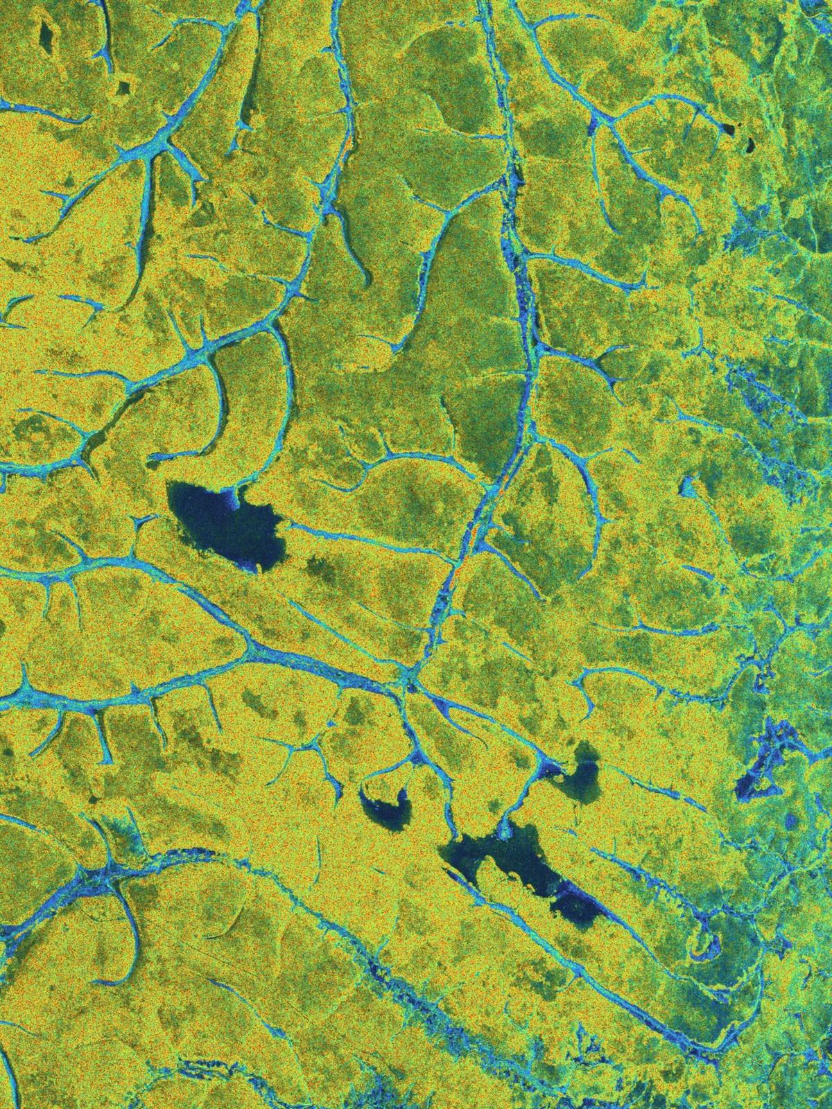 Stunning Images From Biomass Mark Its One Year in Orbit