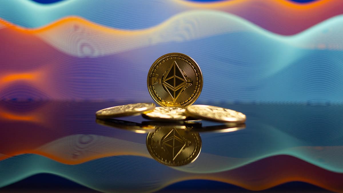BTCC Exchange Overview: Security, Market Access, and Fee Structures