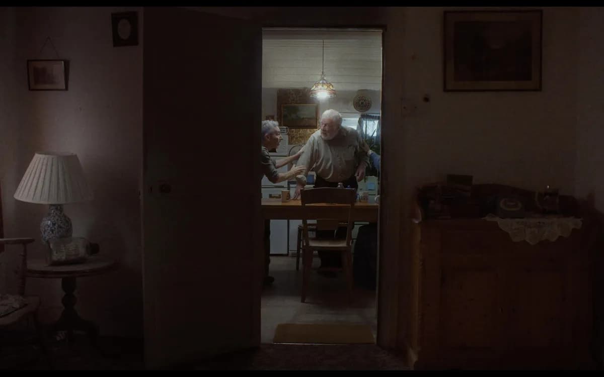 Tulips - Amber Wilkinson - 20300