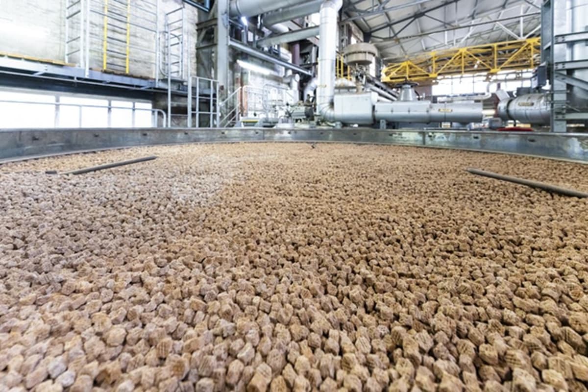 BASF Brings 3D Printed Catalysts to Industrial Scale Production