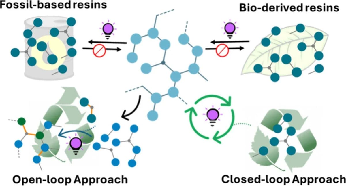 Researchers Examine Circular Paths For Bio Derived 3D Resins