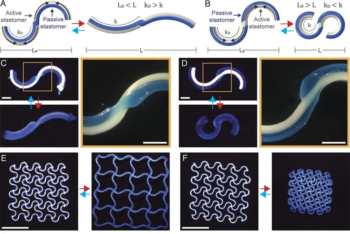 Rotational 3D Printing Can Create Programmable Shape Morphing Lattices