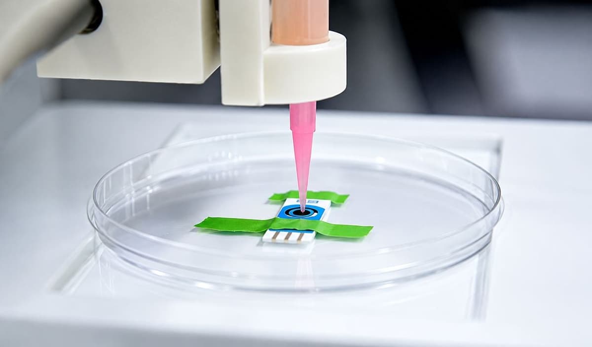 Researchers Successfully 3D Print Living Cornea