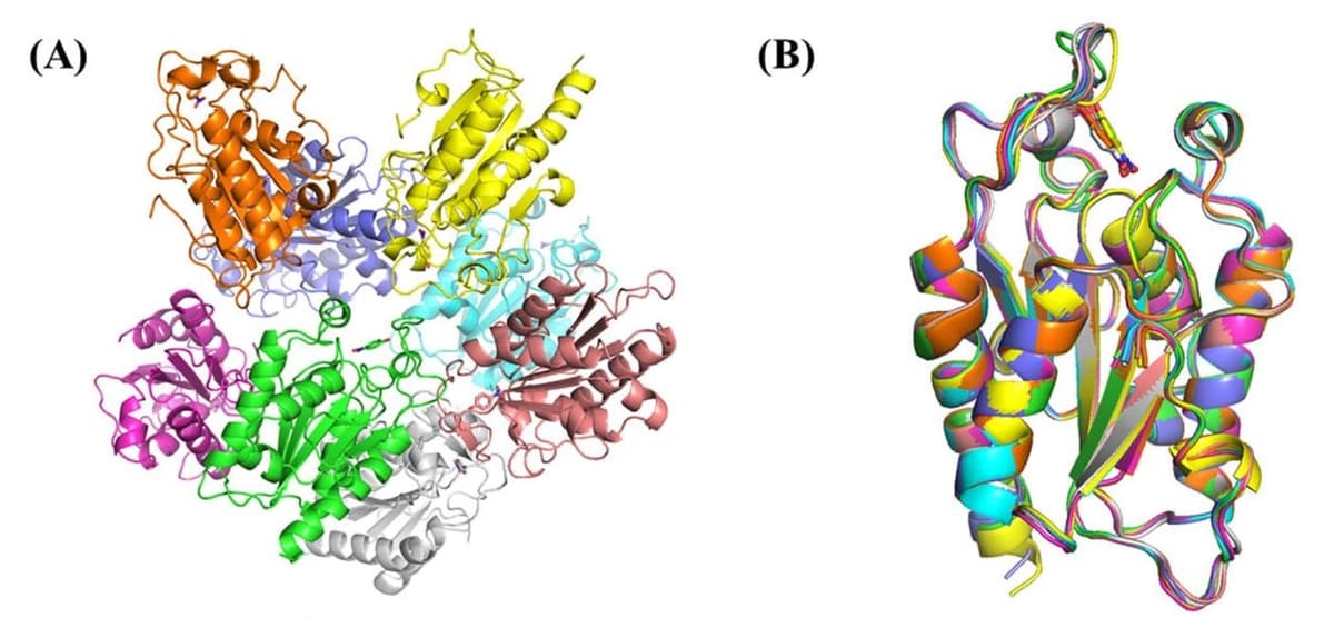 Researchers Explore Two Very Different Routes To Plastic Breakdown