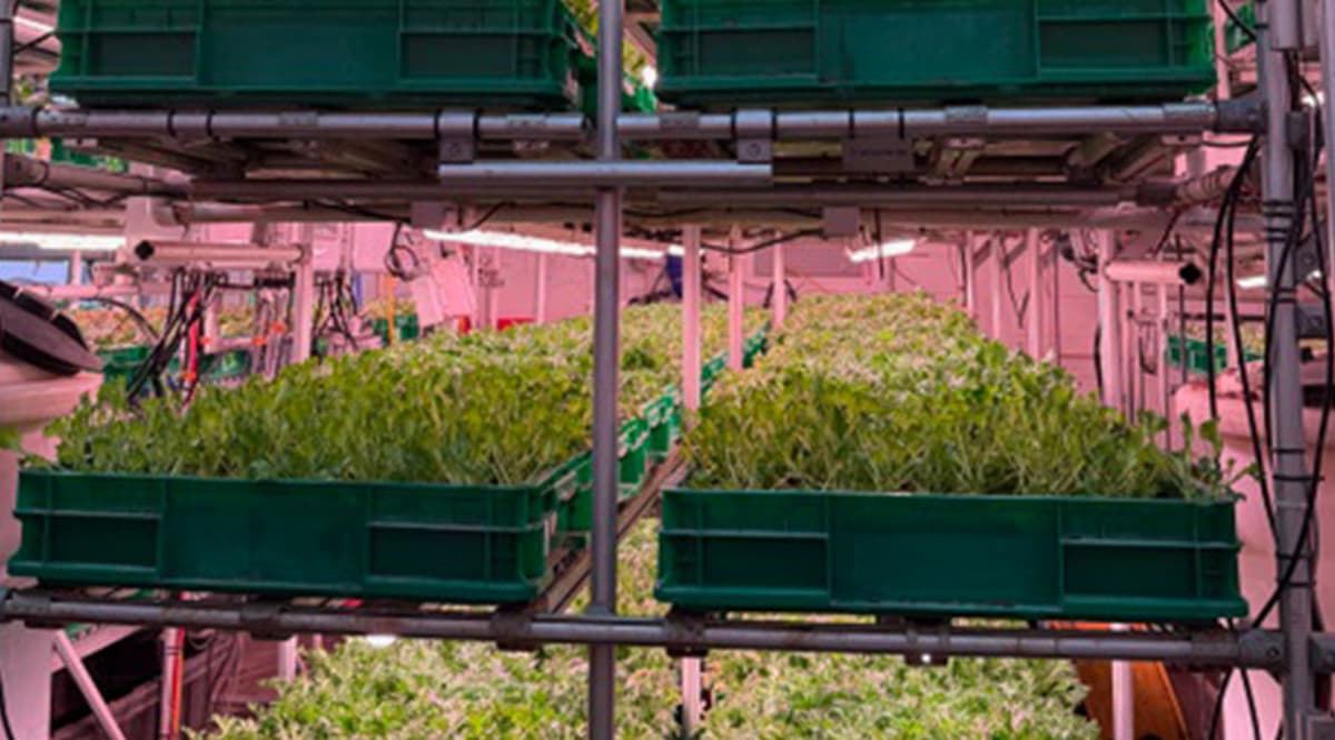 Coming Soon: Facilities That Also Happen to Be Farms