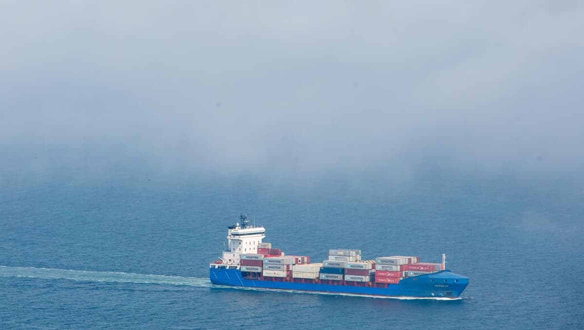 Strait of Hormuz Conflict Threatens Global Food Prices as FAO Warns Time Is Running Out