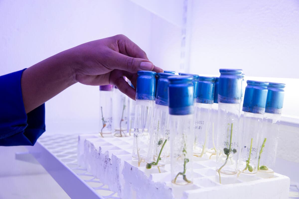 FAO Unveils New Data Domain Tracking Agricultural Research and Development Trends