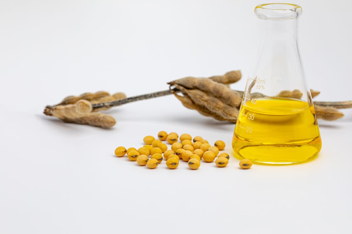 Indian Veg Oil Buyers Await Clarity on US Trade Deal