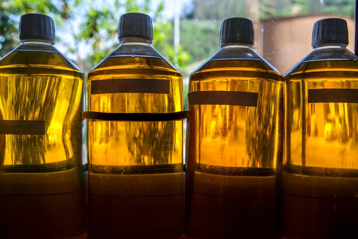 European HVO Markets: The Feedstock Constraint Behind the Compliance Push