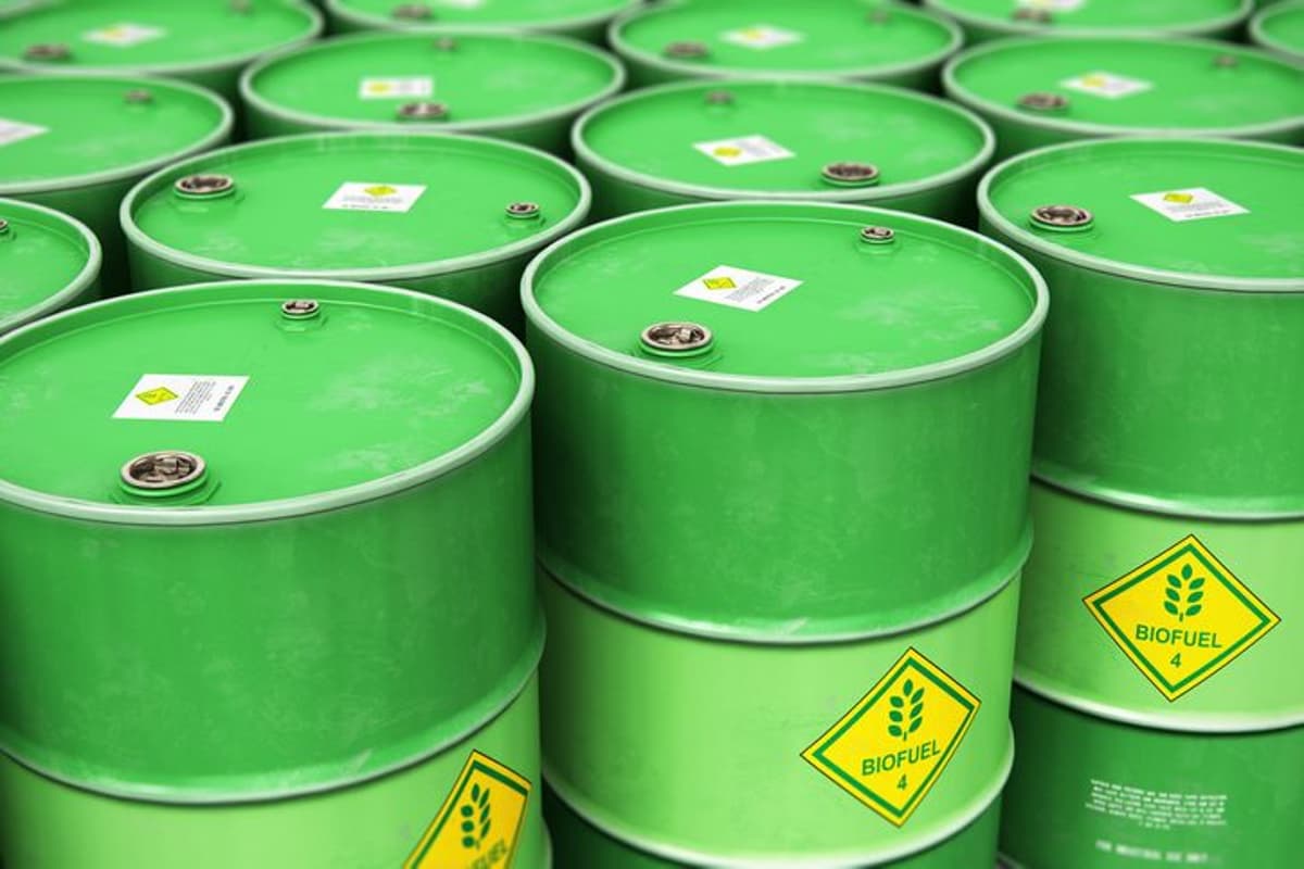 European Biofuel Feedstock Price Spreads Widen as Gasoil Drops by $138/T Week on Week