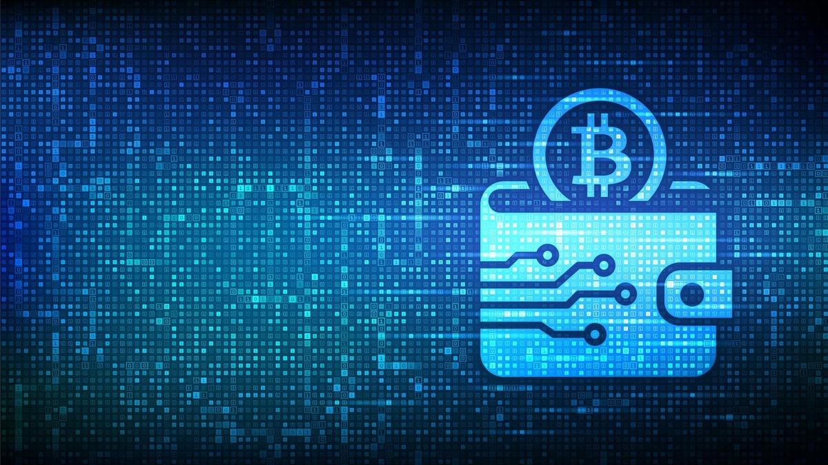 Enterprise-Grade Digital Asset Wallets to Watch in 2025: Features and Cost Considerations