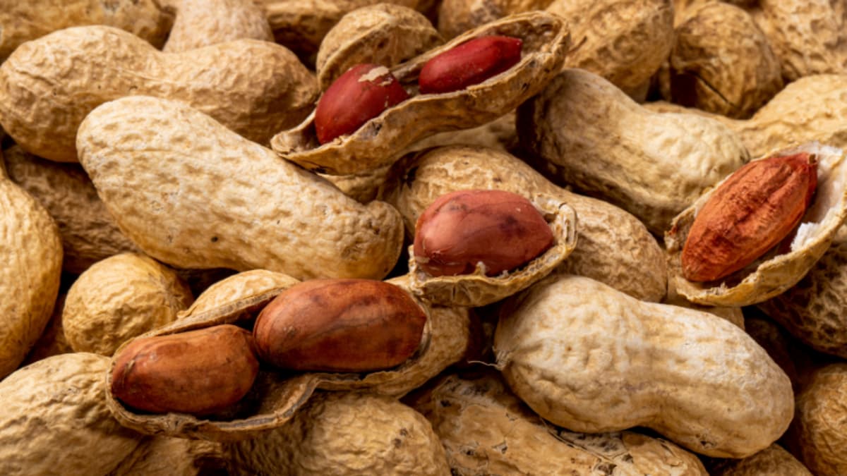 Study Finds Cold Plasma Treatment Reduces Peanut Allergenicity
