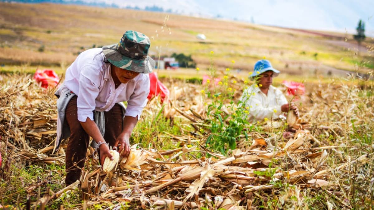 Study Links Pesticide Exposure to 150 Percent Higher Cancer Risk, Identifies Biological Mechanisms