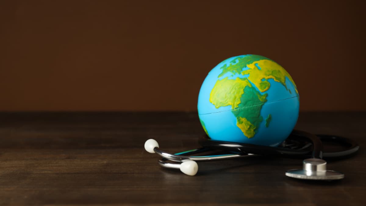 WHO Releases Data on the Proportion of Microbiological, Chemical Hazards that Are Foodborne