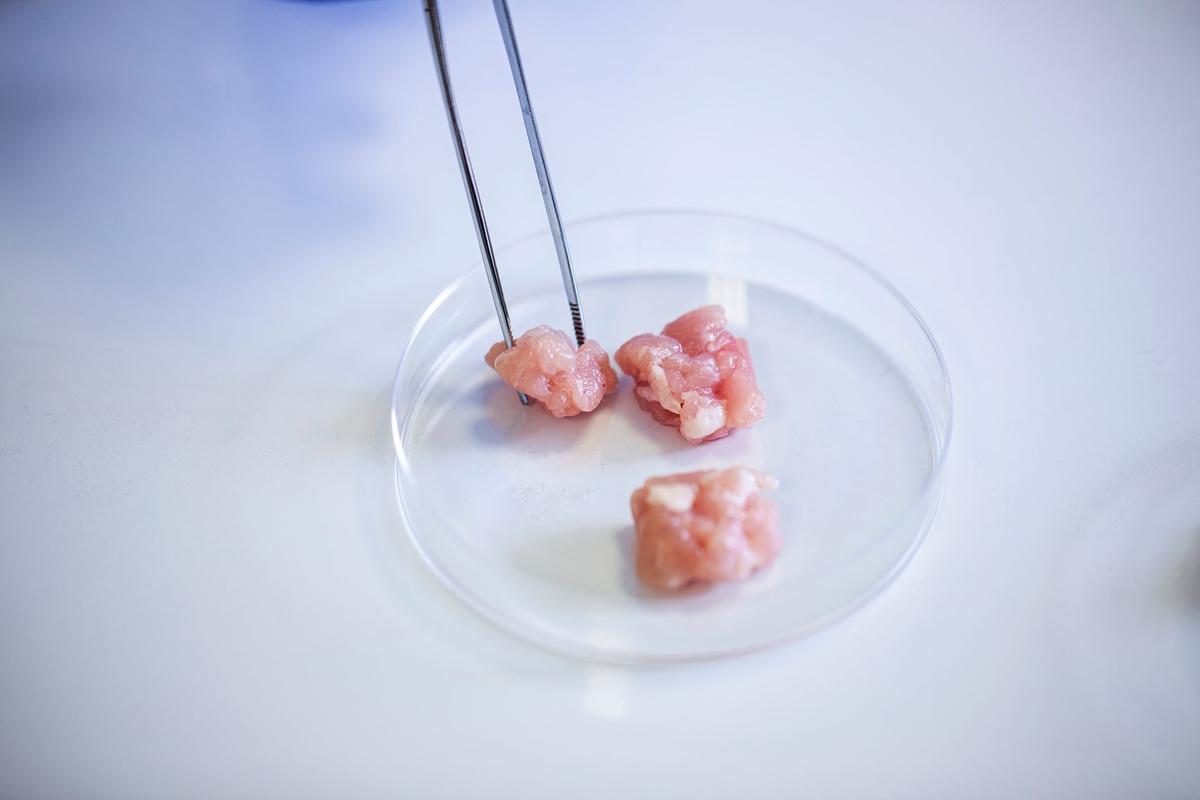 World’s First-Ever Lab-Grown Meat Farm to Open This Week
