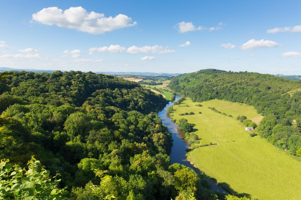 Poultry Producer Faces Legal Action over Alleged River Pollution Claims