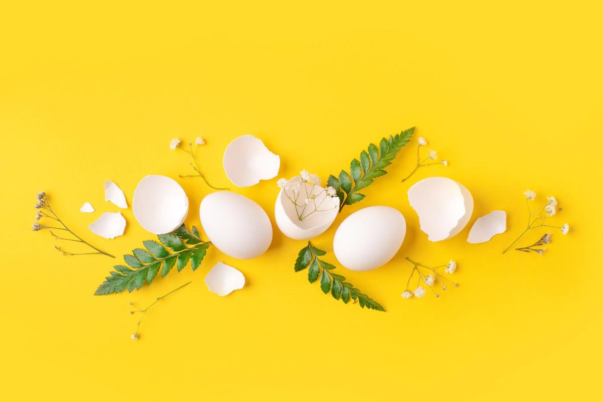 Egg-Based Collagen: The Next Beauty-From-Within Superstar?