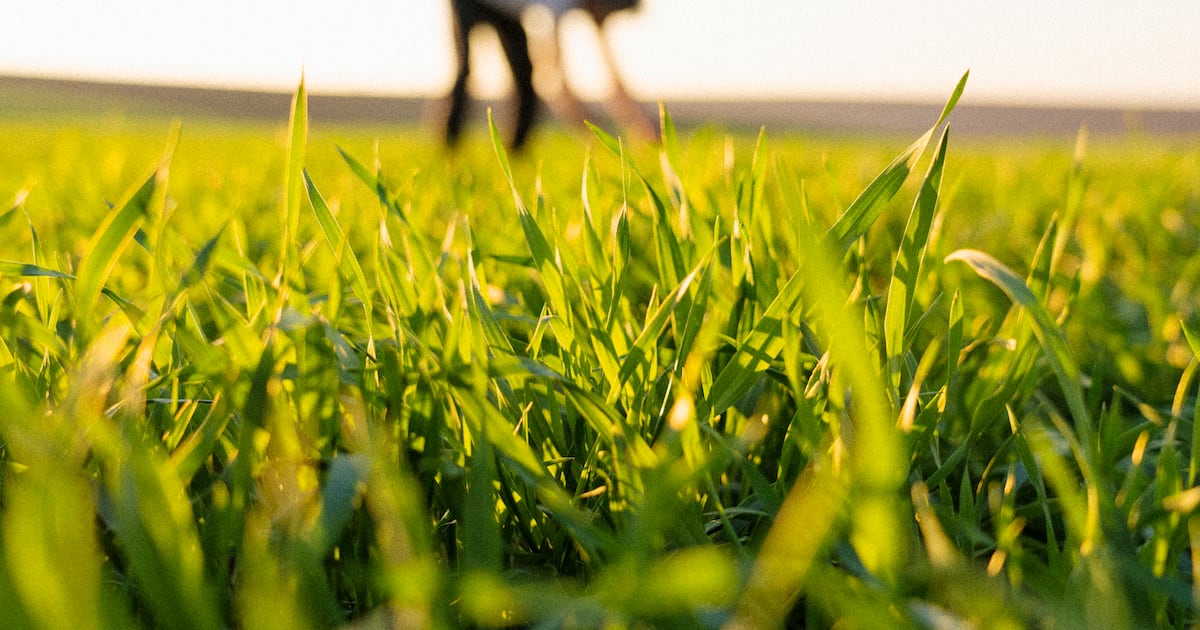 5 CPG Brands Fueling the Regenerative Agriculture Surge