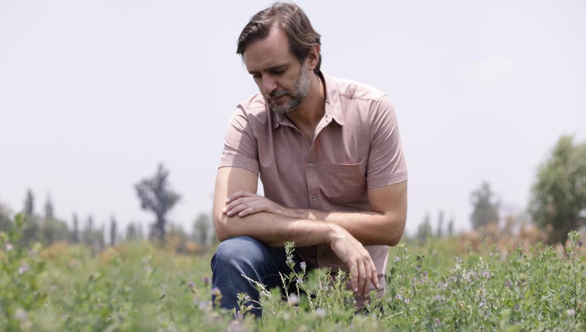 Alfalfa-Based Egg White Alternative Inches Closer to Market