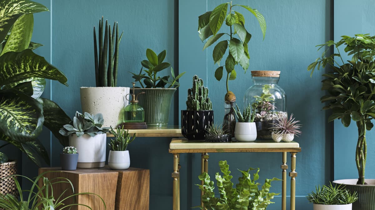 Walmart Shoppers Love These Affordable Herb Planters That Make Gardens Sparkle
