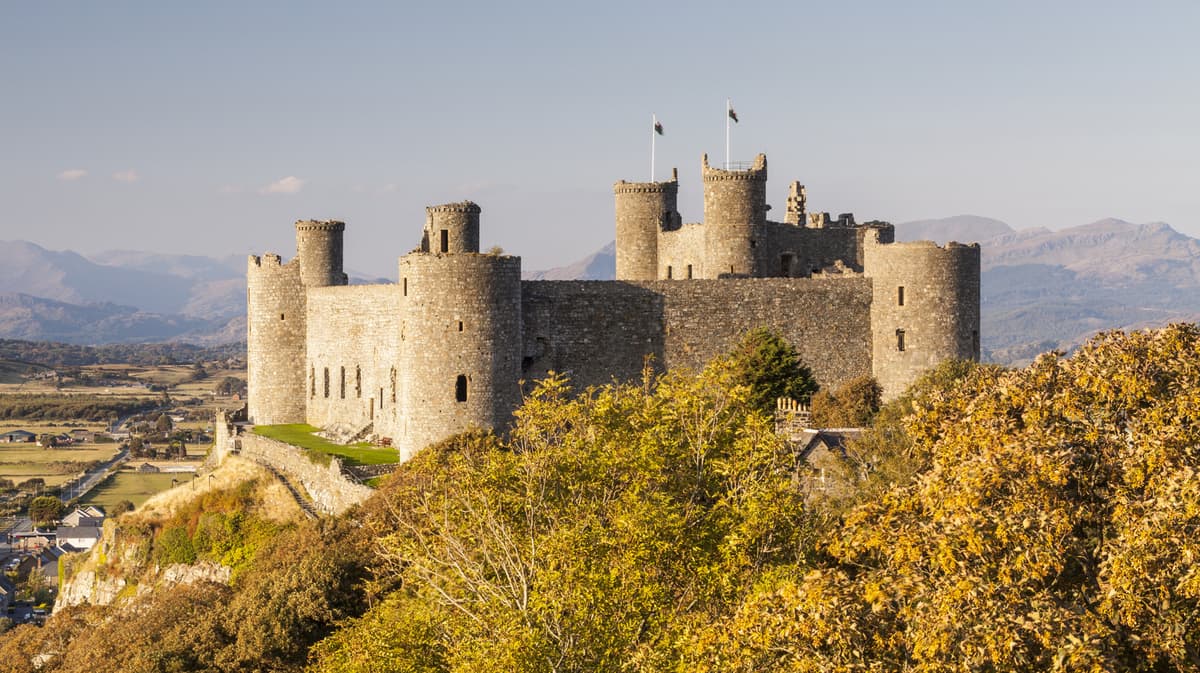 Yes, There Was Fast Food In Medieval Times, But It Looked A Bit Different