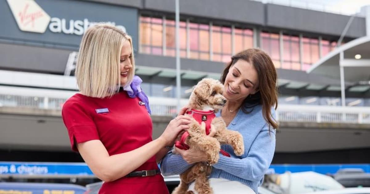 Virgin Australia to Continue and Expand Pets in Cabin Service as Part of Customer-Led Innovation