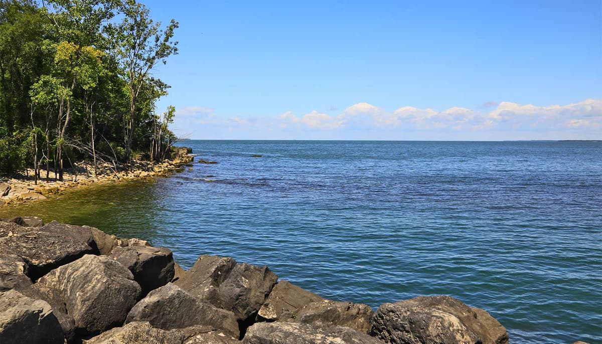 Lake Erie Creates ‘Forbidden Soup’ of Potential Toxins