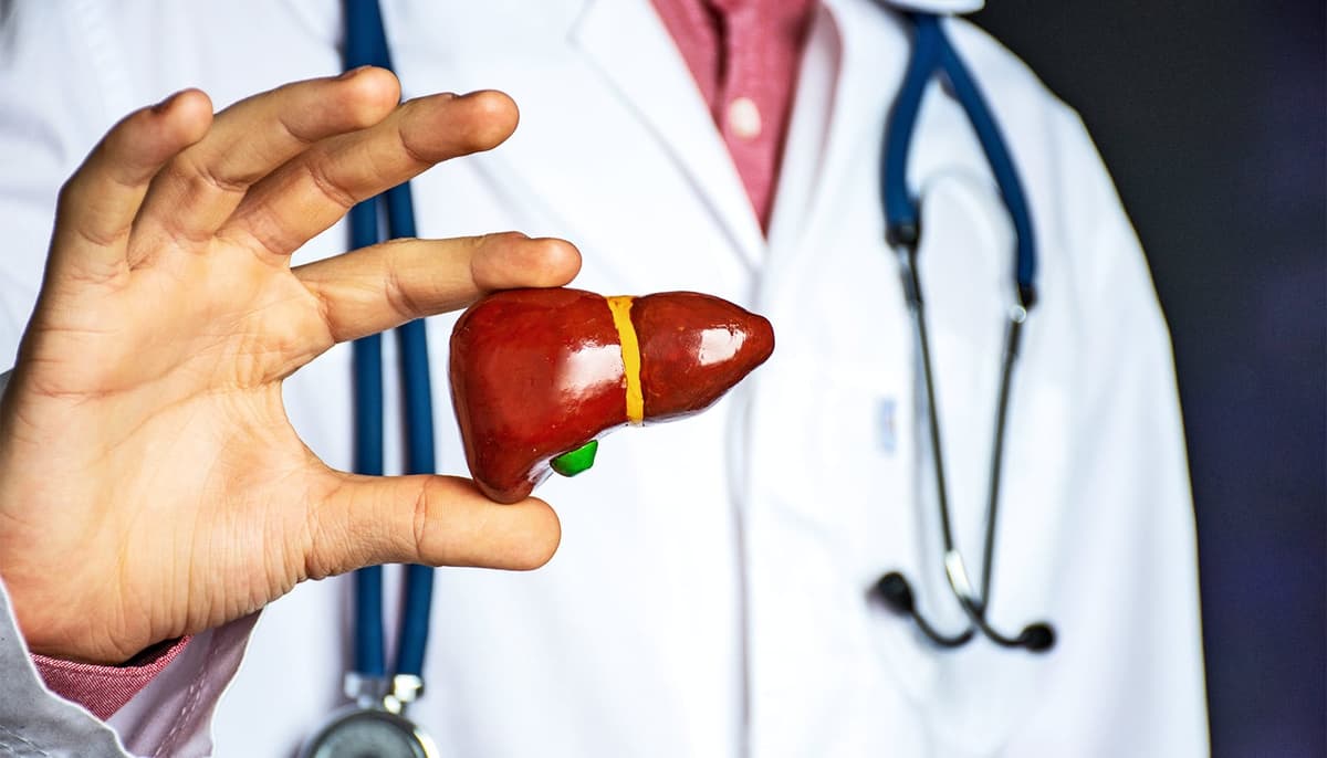 New Kind of Liver Cell May Protect Against Common Liver Disease