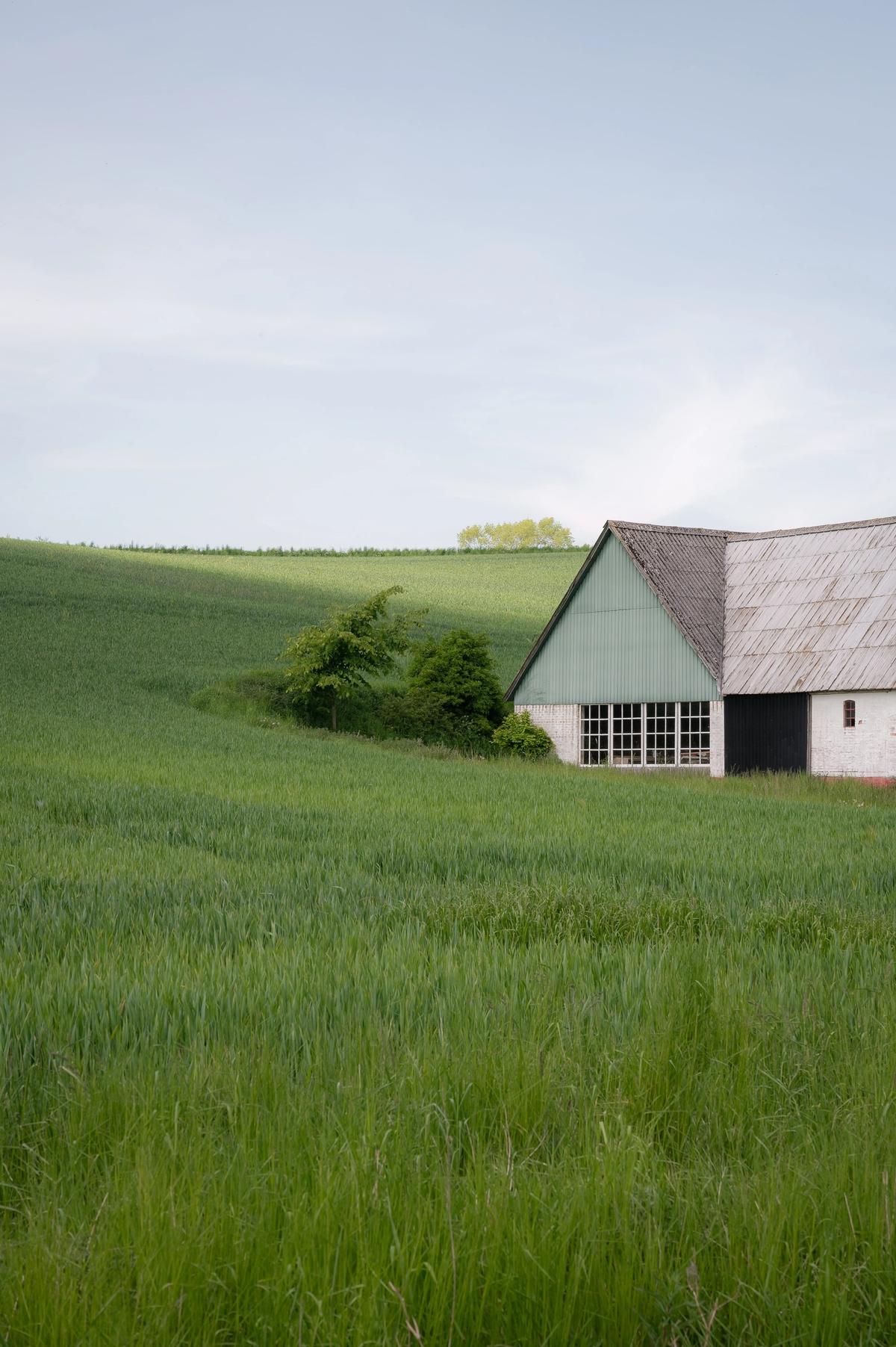 Current Obsessions: Bright Palette