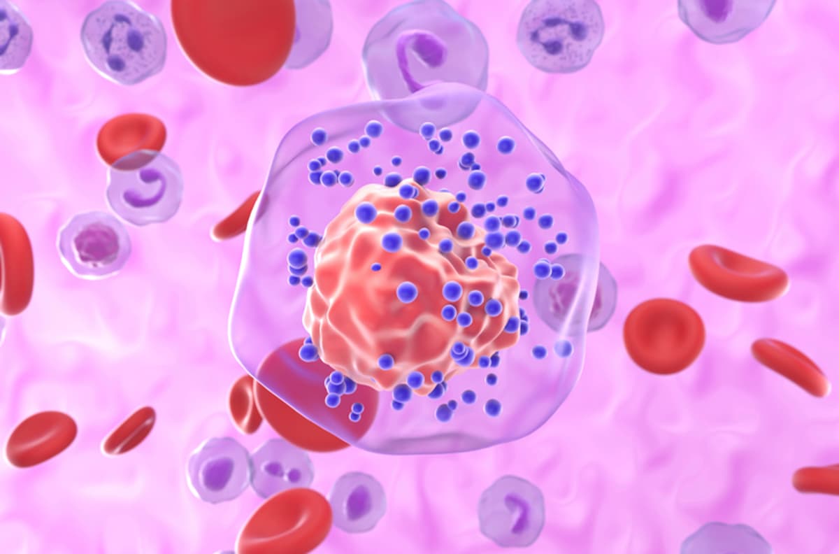 RAGE Implicated in Worsening Breast Cancer Mortality with Age