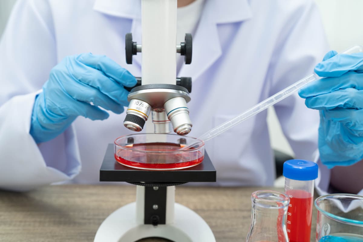 Cellular Origins Collaborates with Immatics on Automation for Cell Therapy Manufacturing