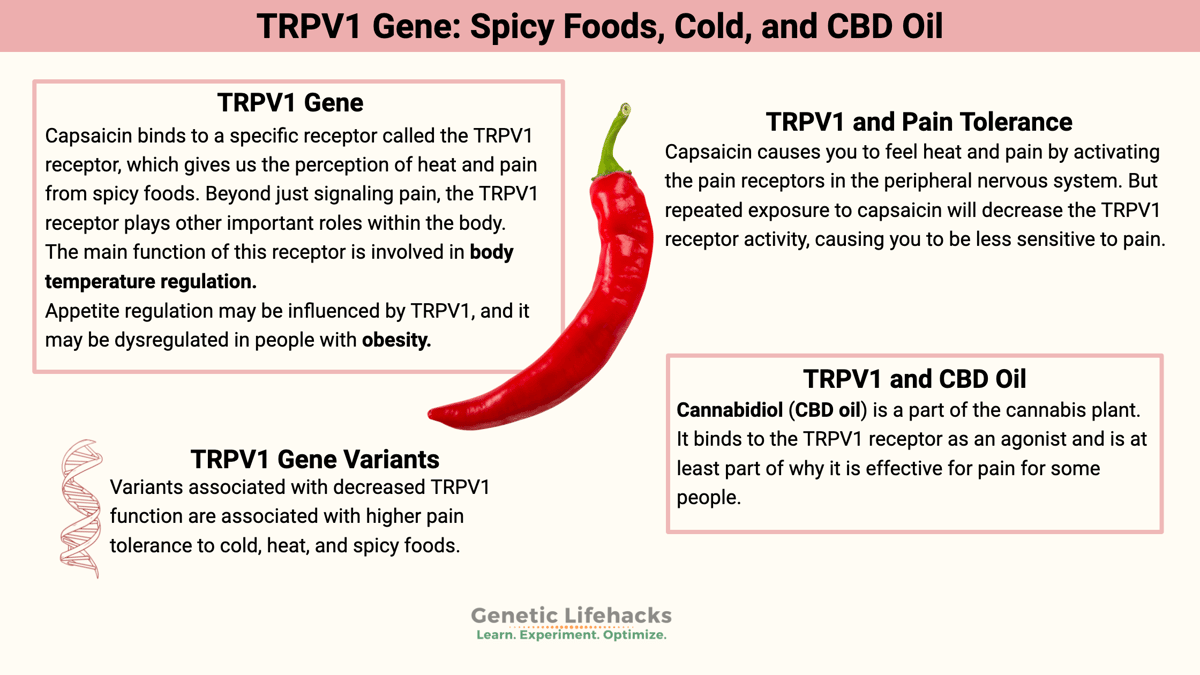 TRPV1 Gene: Receptor for Spicy Foods, Sensing Cold, and CBD Oil