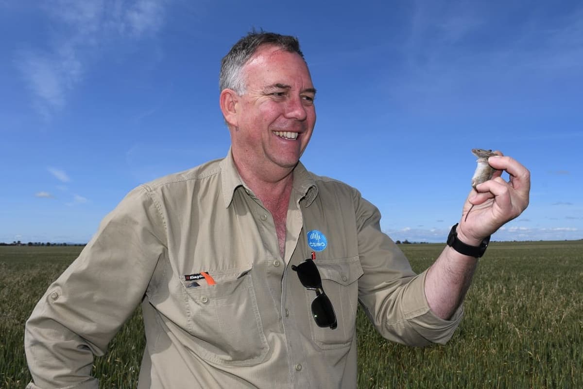 GPA to Host Update for SA Growers Amid High Mouse Pressure