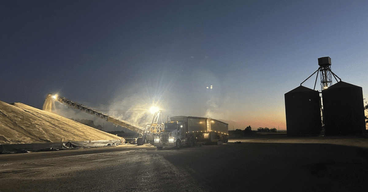 Australia Exports 2.29Mt Wheat in Dec in New-Crop Surge