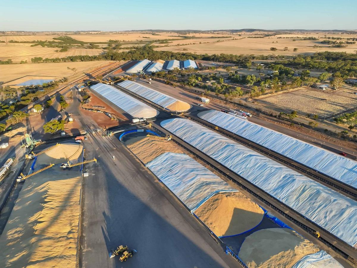 GIWA Estimate for Record Crop Settles on 27.35Mt