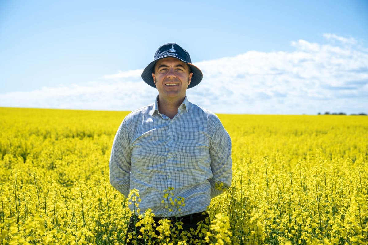 Canola Poised for Greater Role in Local Biofuel Future: Rabo